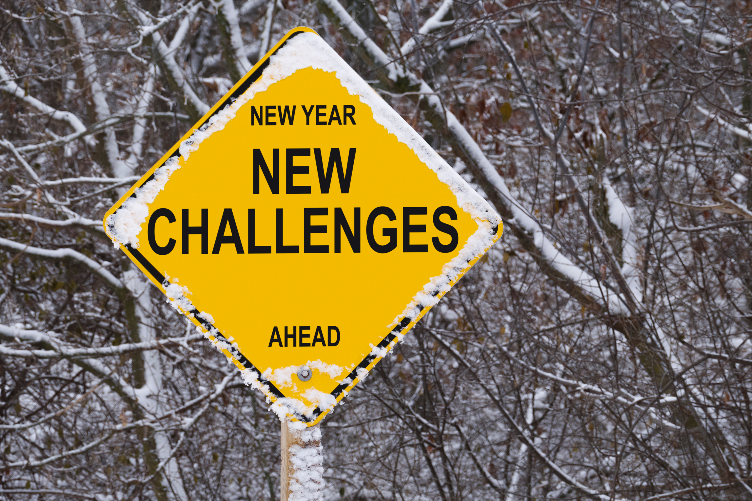 Nouvelle année, nouveaux défis